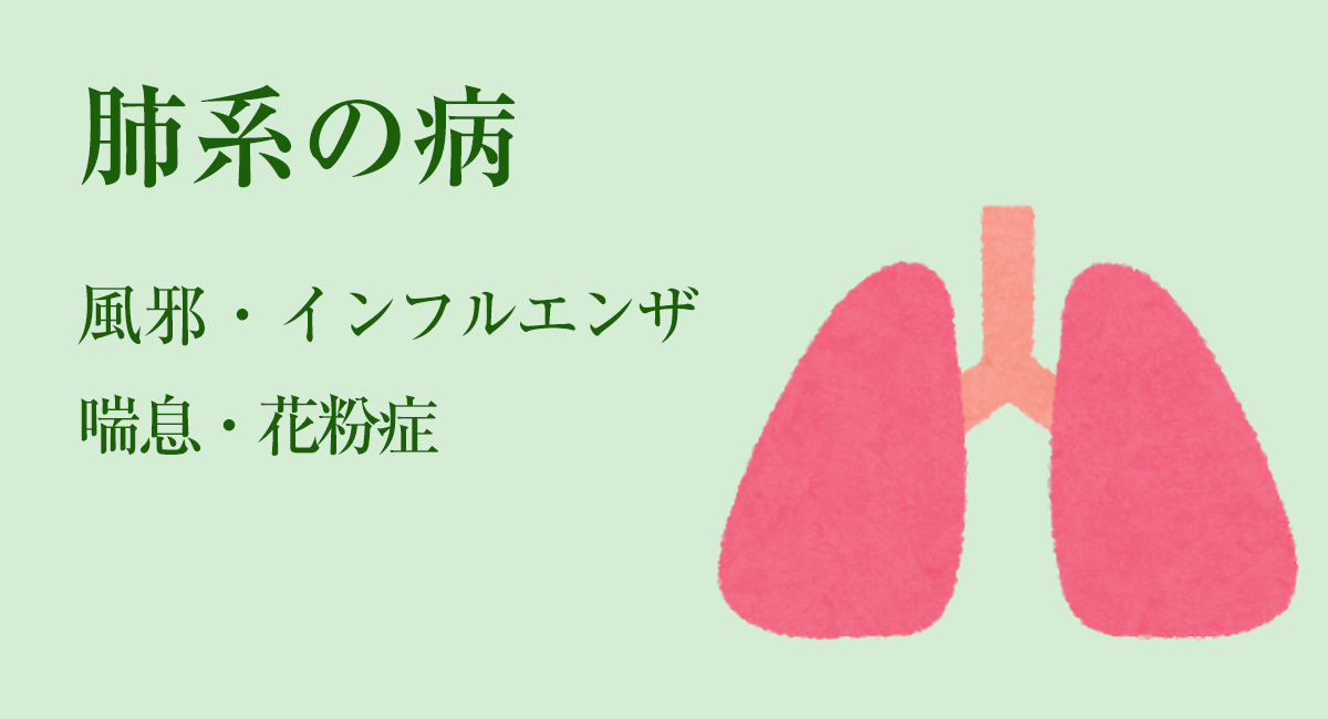 肺系の病